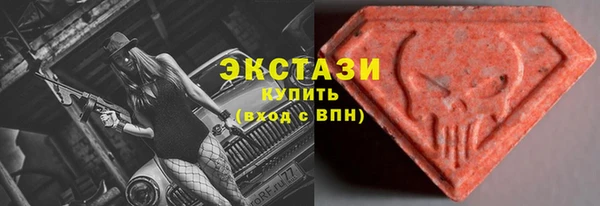 гашик Новозыбков