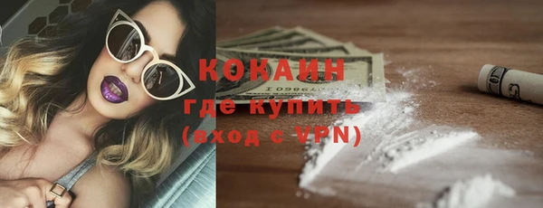 гашик Новозыбков