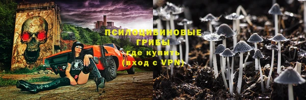 ГАЛЛЮЦИНОГЕННЫЕ ГРИБЫ Горняк