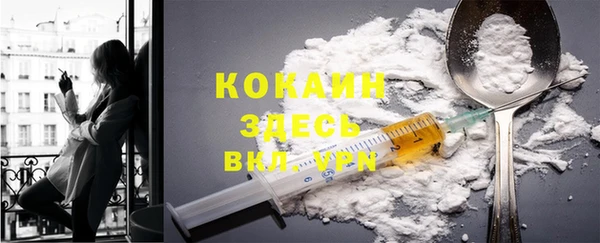 PSILOCYBIN Болотное