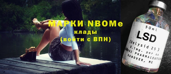 гашик Новозыбков